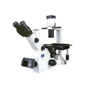 Invertebrate biology inverted microscope