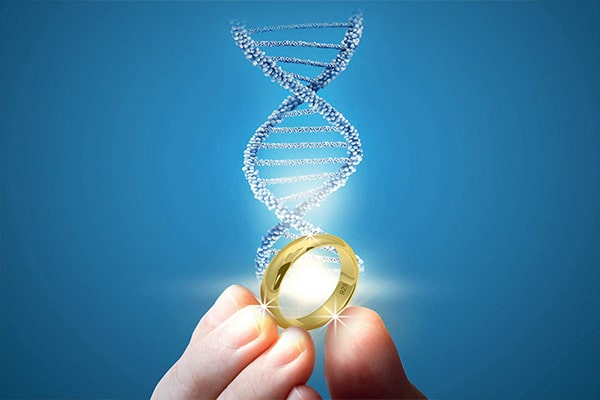 Genetic and chromosomal screening for couples
