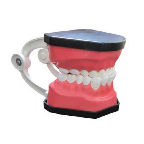 مولاژ دندان متوسط